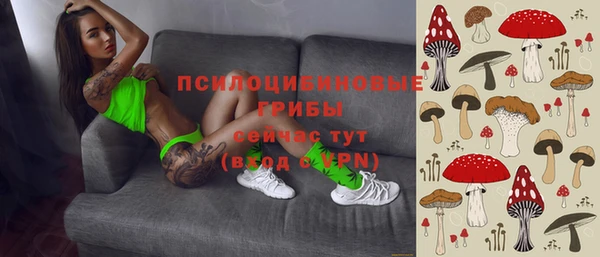 гашик Сафоново