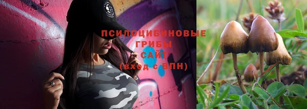 метадон Сатка