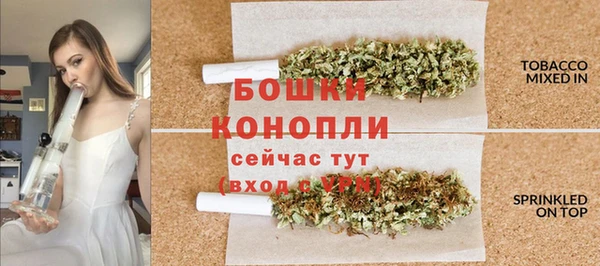 гашик Сафоново