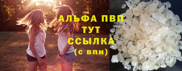 молекула духа Саяногорск
