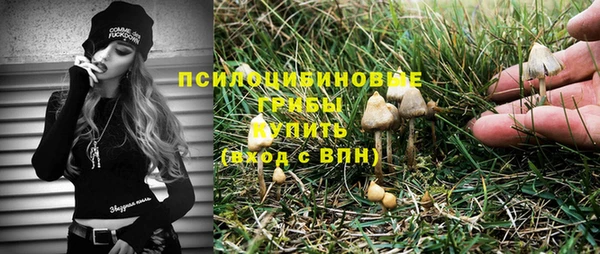 метадон Сатка