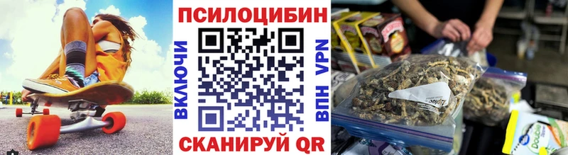 Галлюциногенные грибы Psilocybe  Невинномысск 