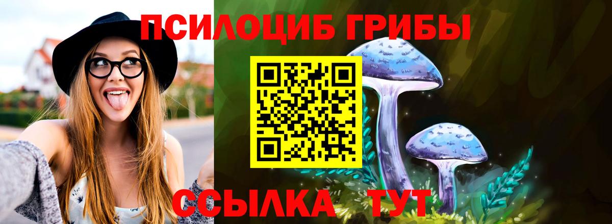 Псилоцибиновые грибы Psilocybine cubensis Невинномысск